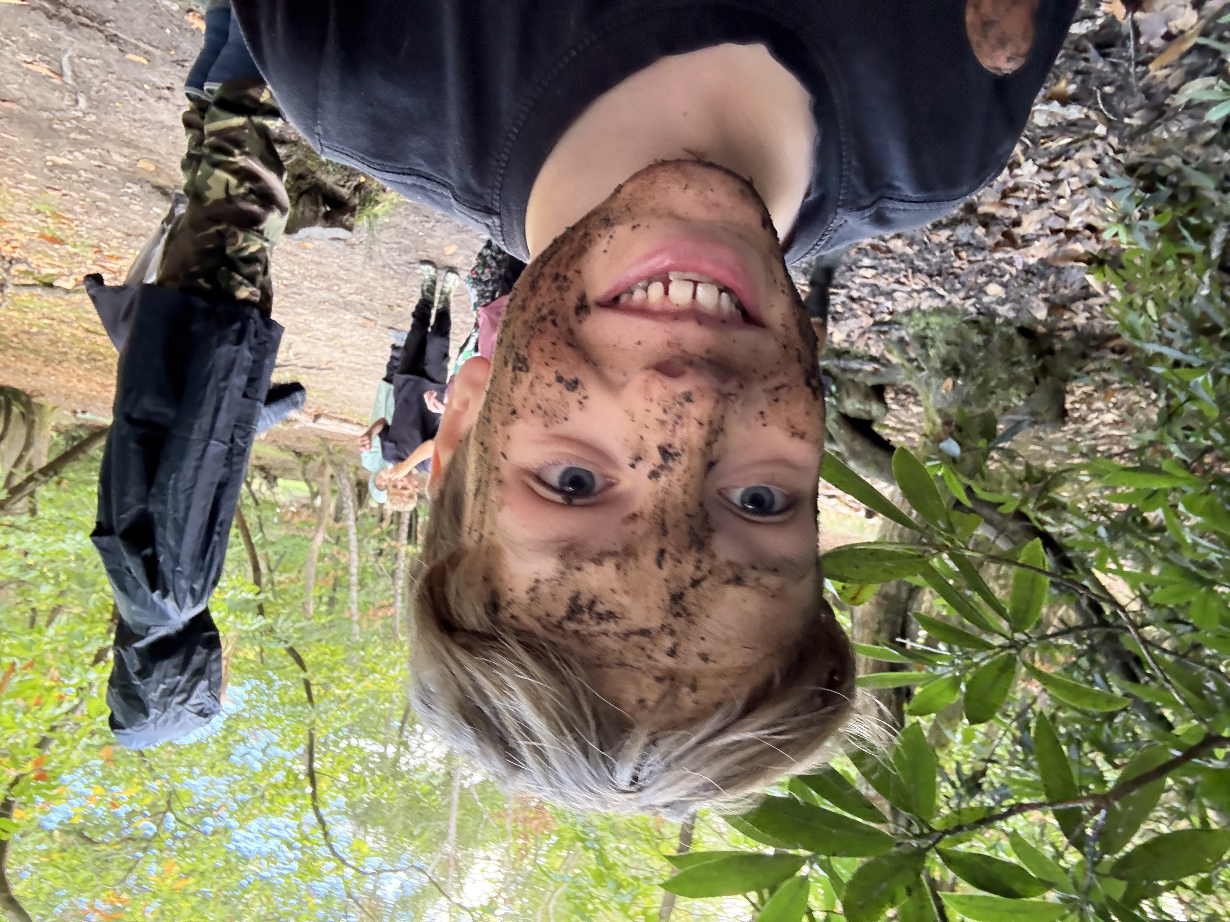 HH43