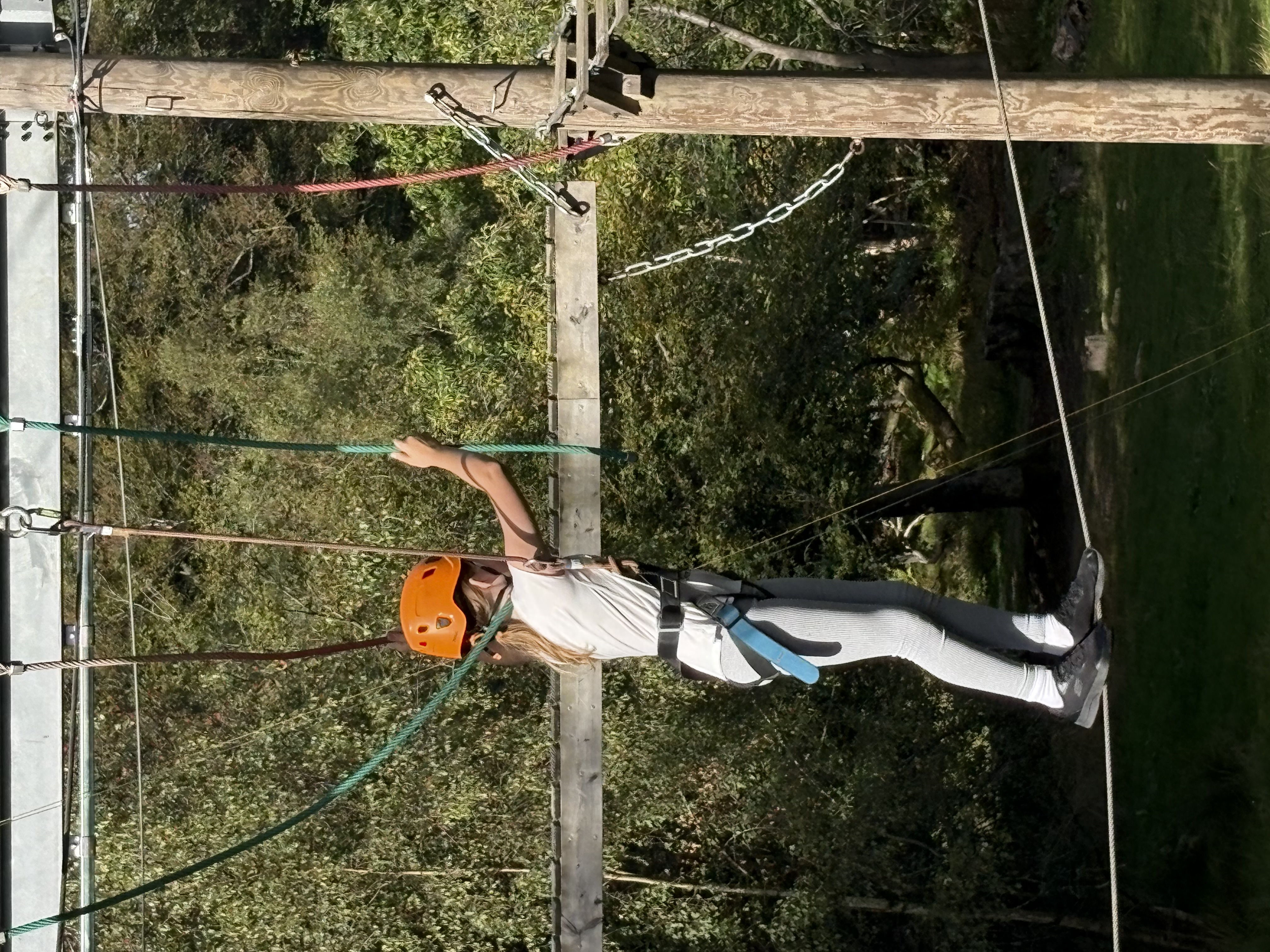 HH76