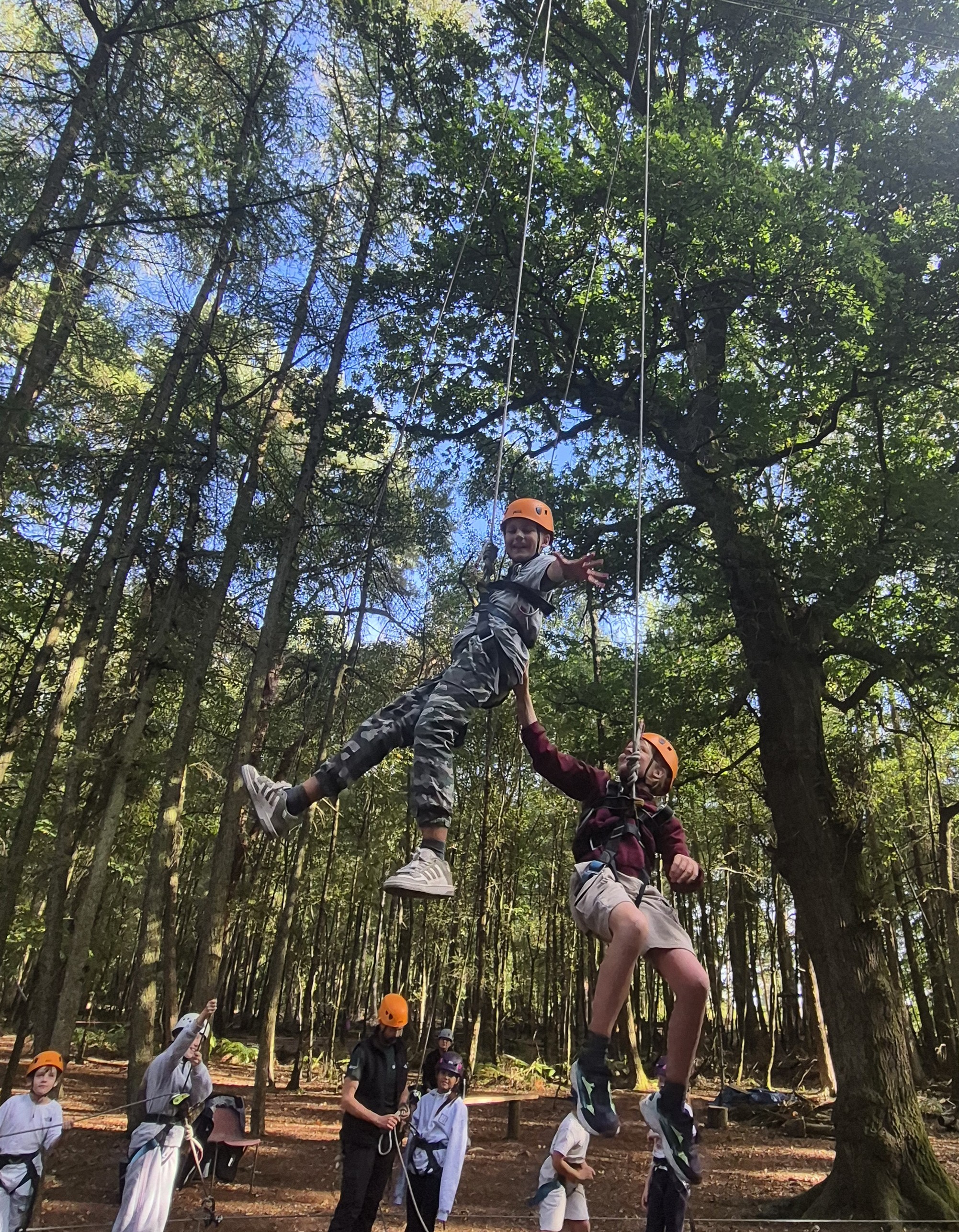 HH8