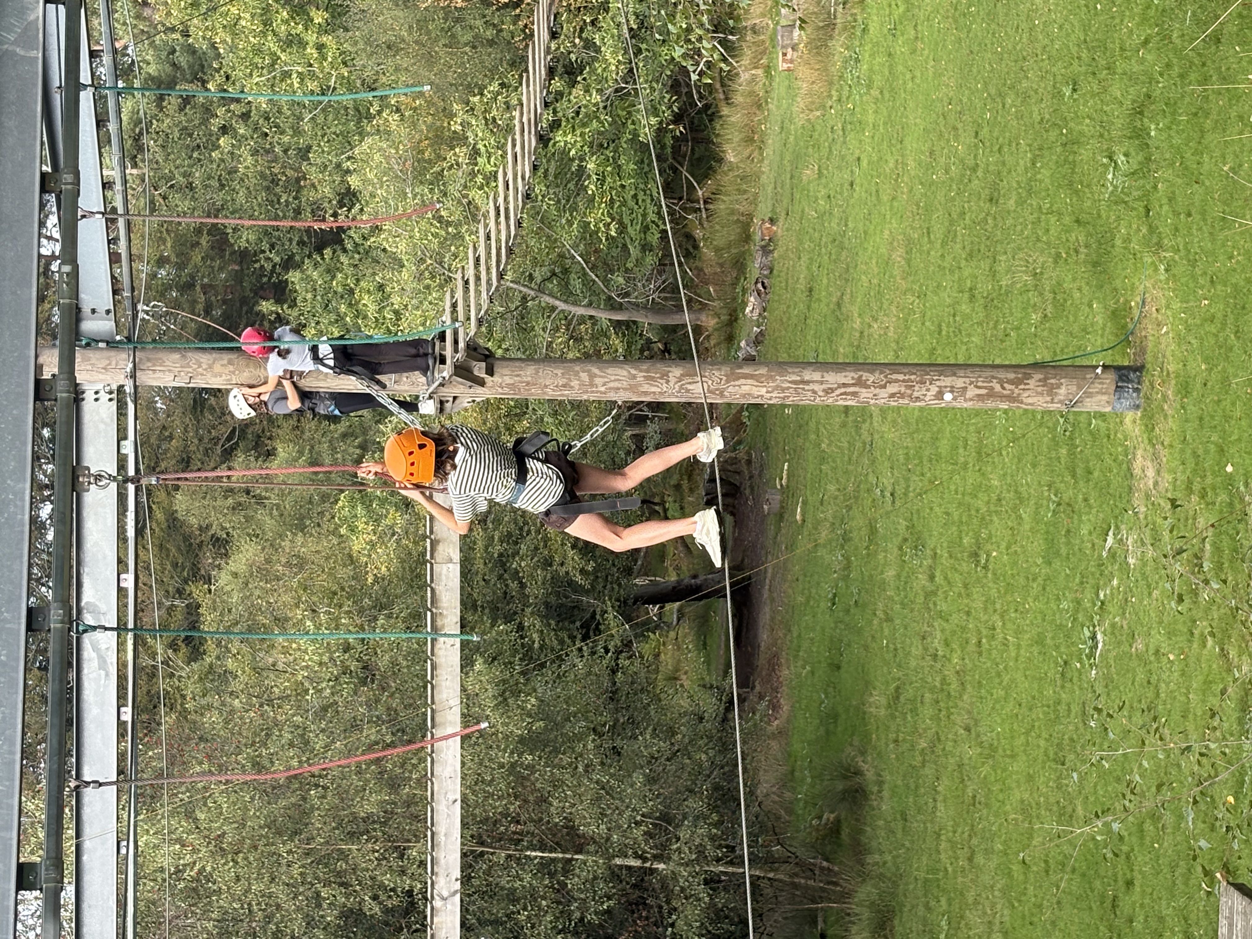 HH80