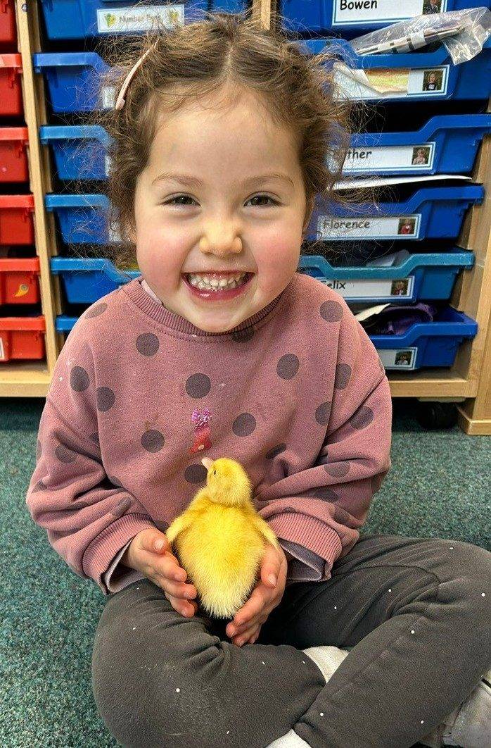 A pupil holding one of the class ducklings