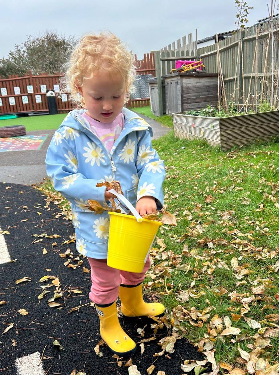 A nursery child collecting leaves in the outdoor area